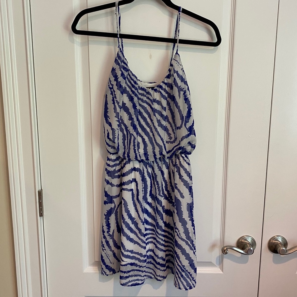 Aqua Zebra Print Dress